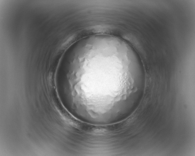 X0000081600066200701291412