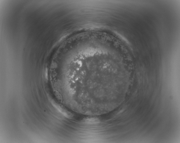 X0000081600067200701291412