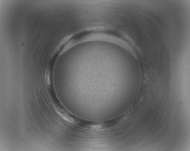 X0000081600068200701291412