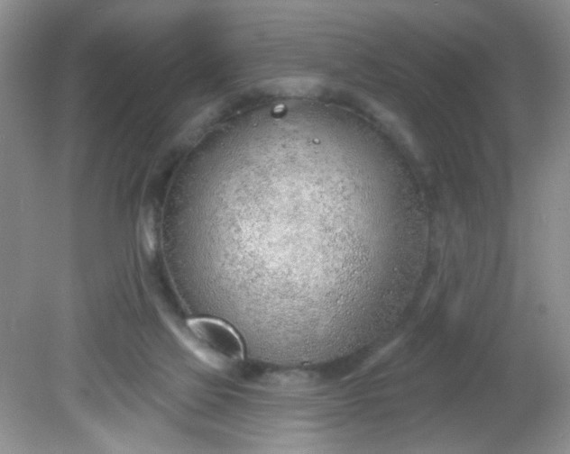 X0000081600069200701291412