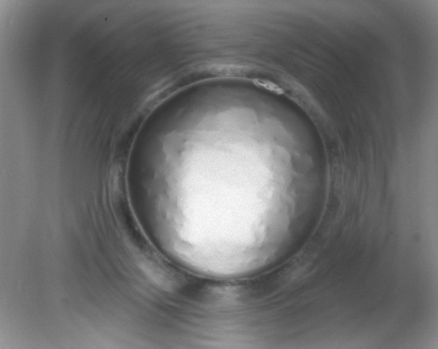 X0000081600071200701291412