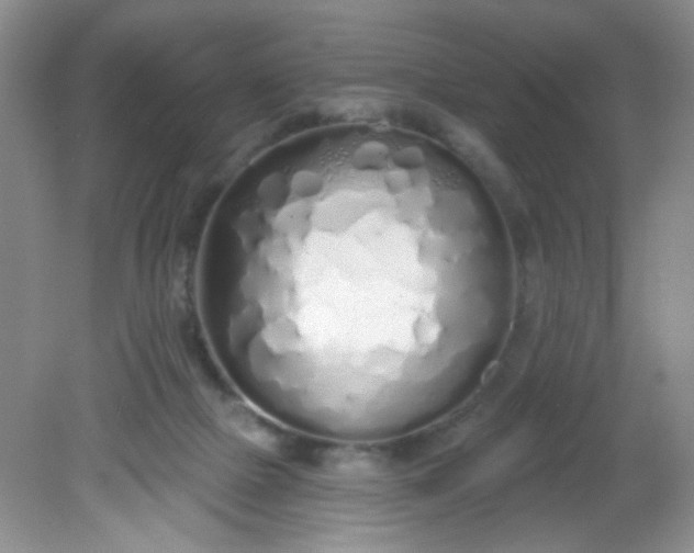 X0000081600073200701291412