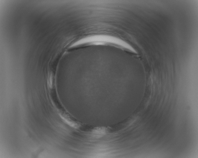 X0000081600076200701291412