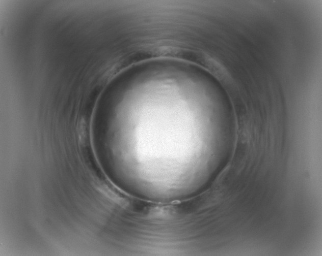 X0000081600077200701291412