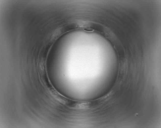 X0000081600078200701291412