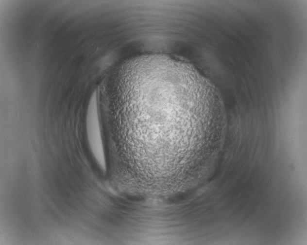 X0000081600080200701291412