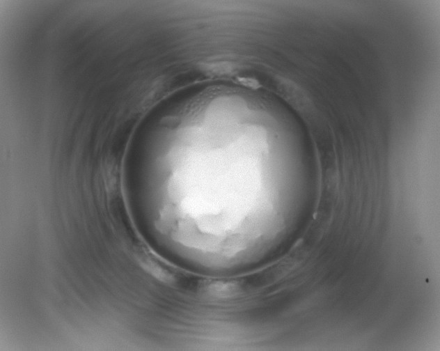 X0000081600081200701291412