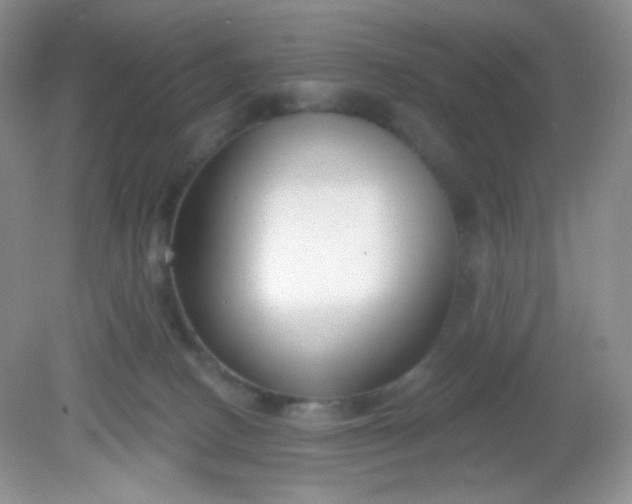 X0000081600082200701291412