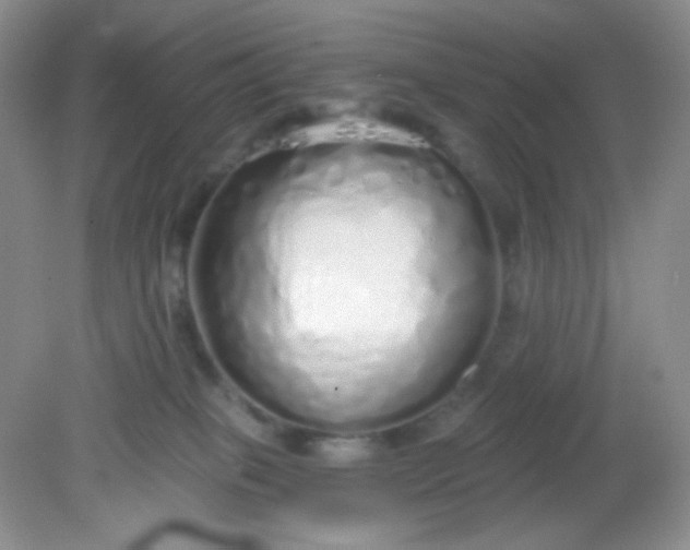 X0000081600085200701291412