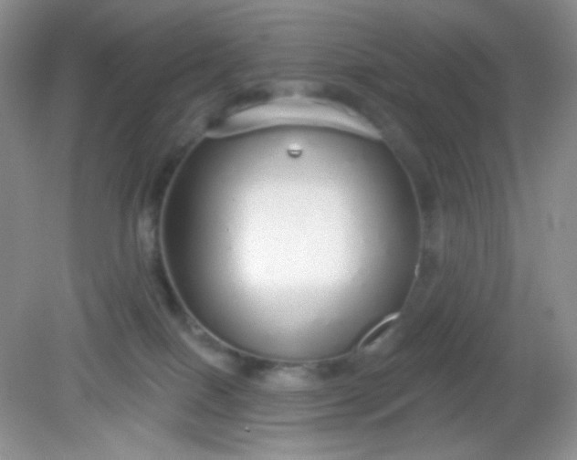 X0000081600086200701291412