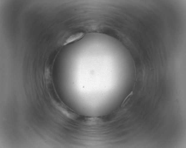 X0000081600087200701291412