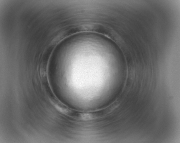 X0000081600091200701291412