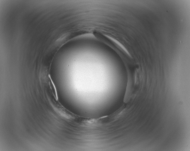 X0000081600092200701291412