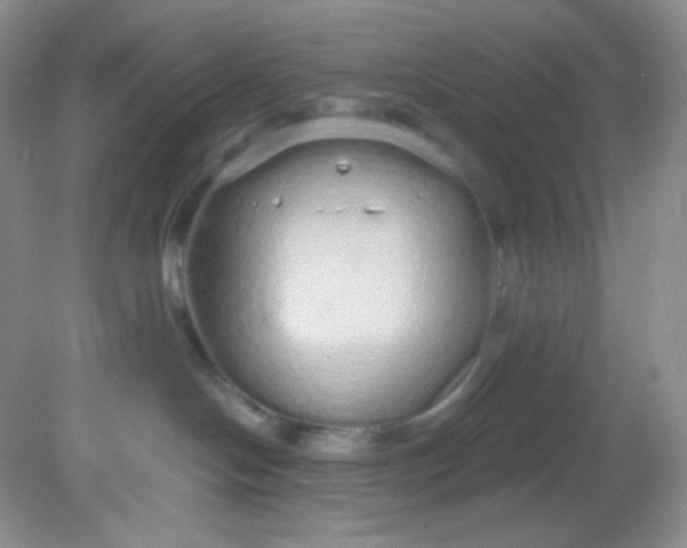 X0000081600094200701291412