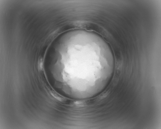 X0000081600095200701291412