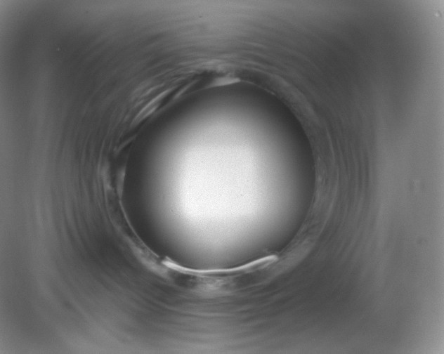 X0000081600096200701291412