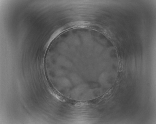 X0000081600099200701291412