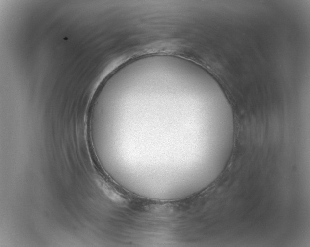 X0000081600100200701291411