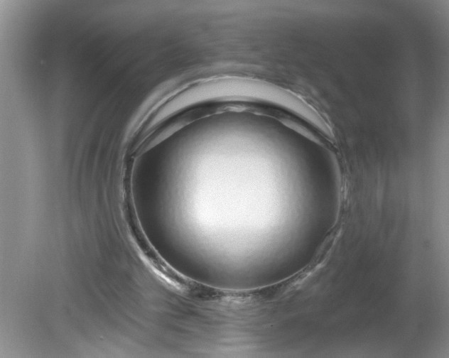 X0000081600101200701291411