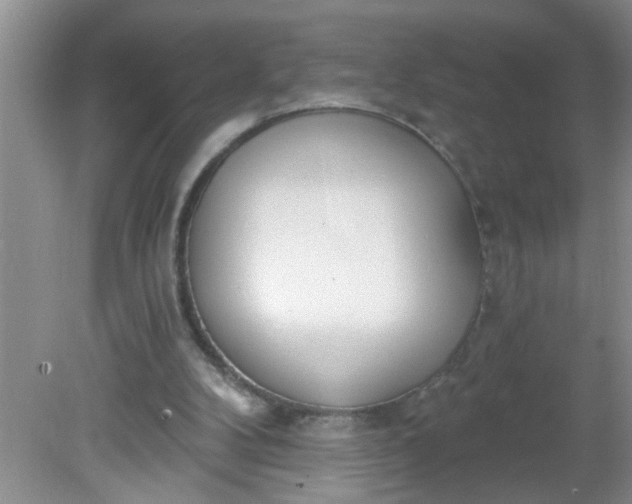 X0000081600104200701291411