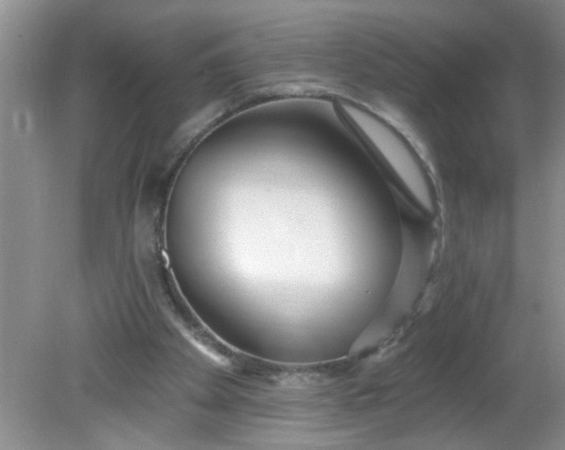 X0000081600105200701291411