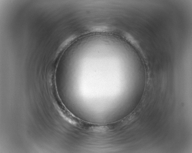 X0000081600106200701291411