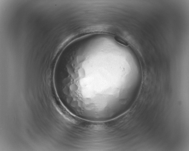 X0000081600107200701291411