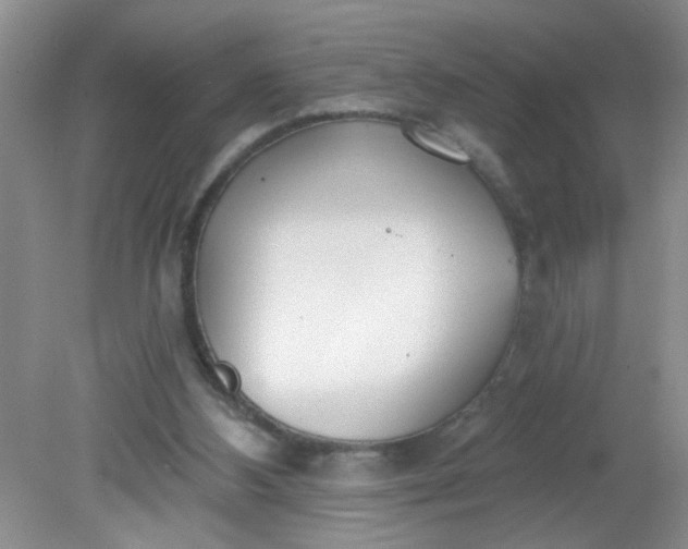 X0000081600108200701291411