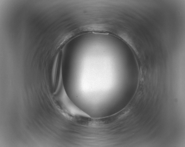 X0000081600109200701291411