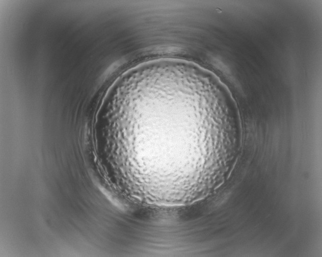 X0000081600110200701291411