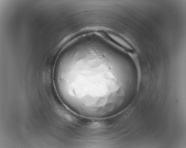 X0000081600111200701291411