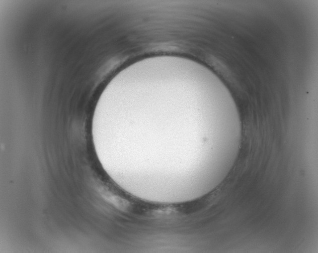 X0000081600112200701291411