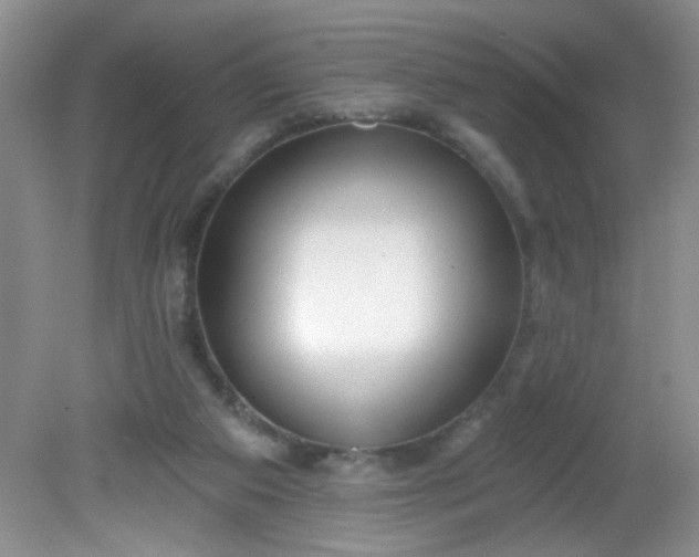 X0000081600113200701291411