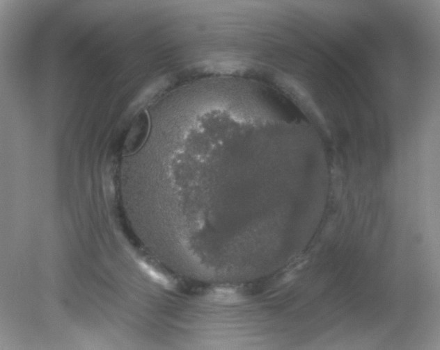 X0000081600114200701291411