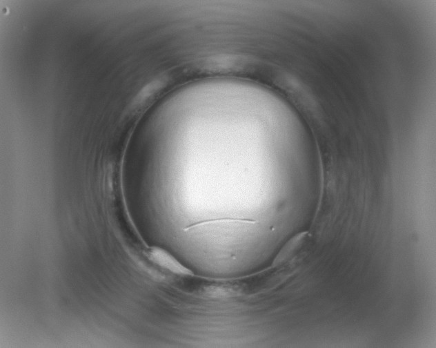 X0000081600115200701291411