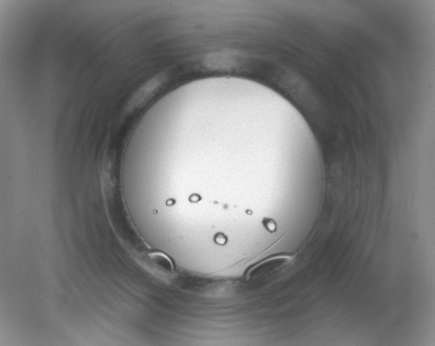 X0000081600116200701291411