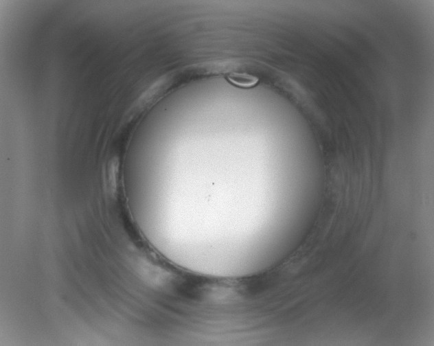 X0000081600118200701291411