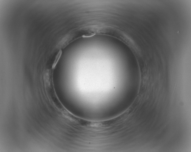 X0000081600121200701291411