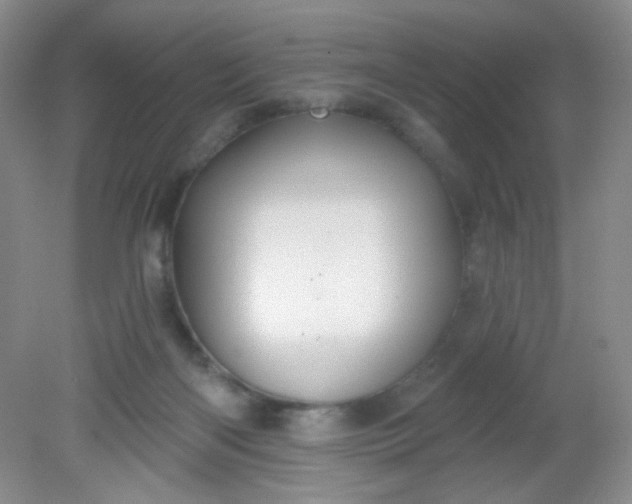 X0000081600122200701291411