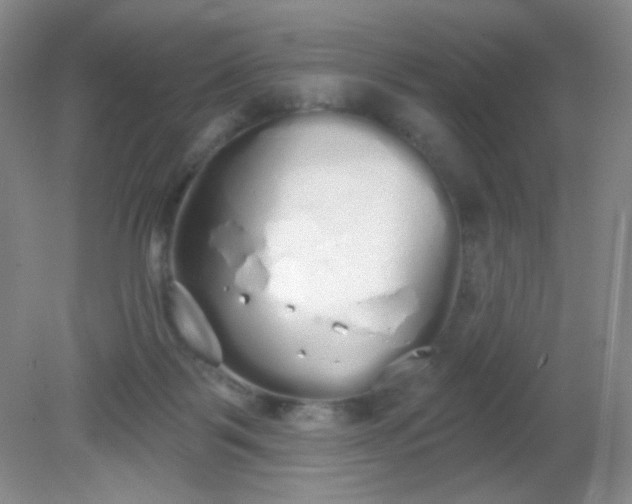 X0000081600123200701291411