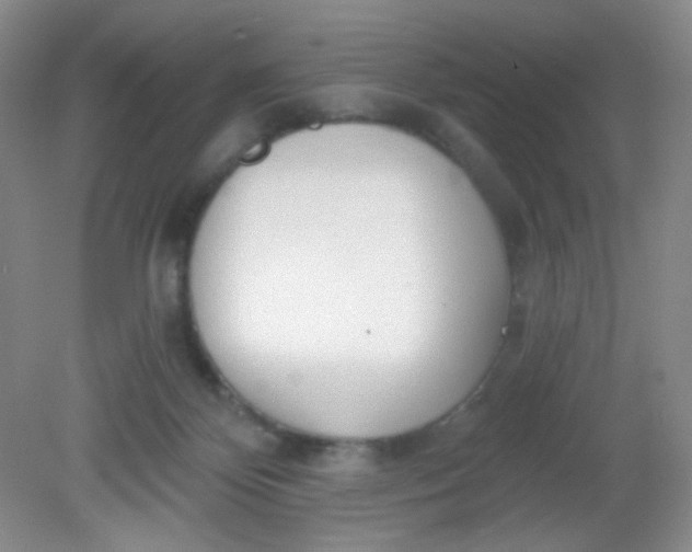 X0000081600124200701291411