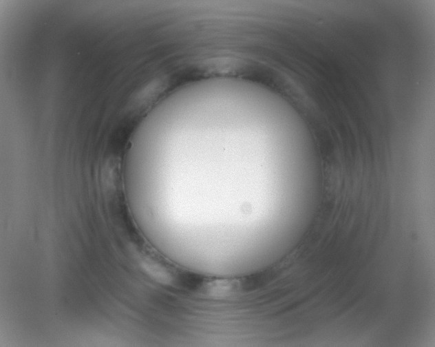 X0000081600126200701291411