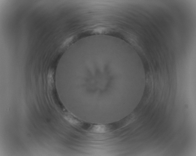 X0000081600127200701291411