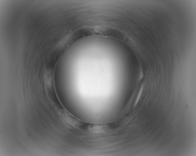 X0000081600129200701291411