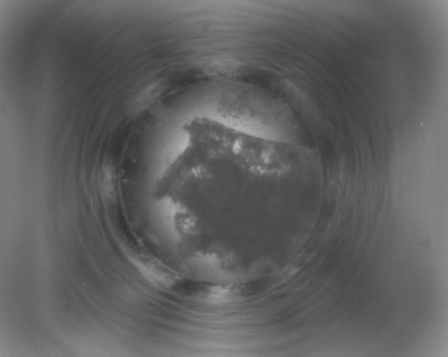 X0000081600130200701291411