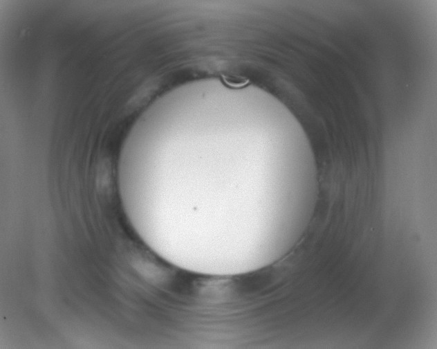 X0000081600132200701291411