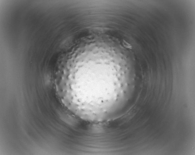 X0000081600134200701291411