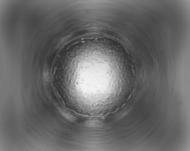 X0000081600137200701291411