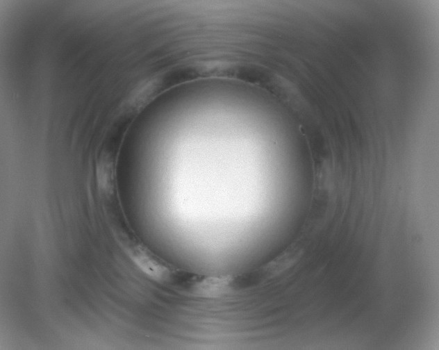 X0000081600138200701291411