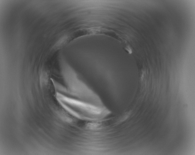 X0000081600139200701291411